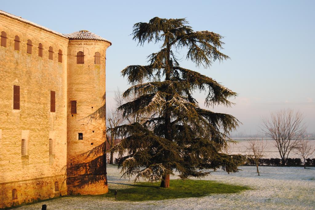 Locanda Del Re Guerriero San Pietro in Cerro Oda fotoğraf